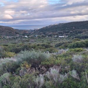 Manilva, Land - 99000m2