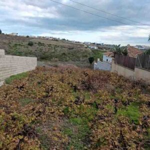 Manilva-Land/Vineyard