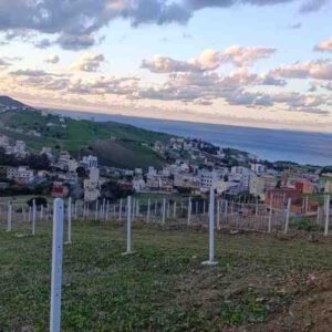 Land – Diki 600 m2